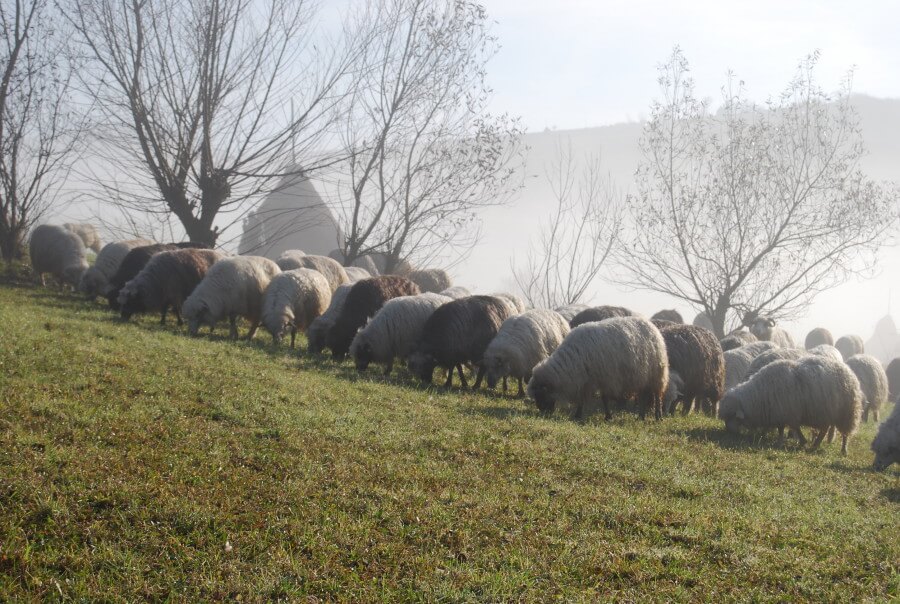 casa rural rumania