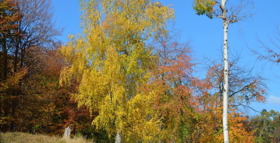 rumania en otono