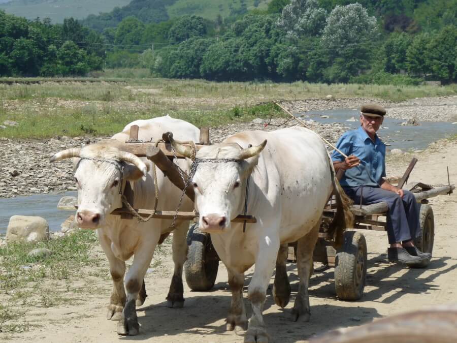 fotos de rumania rural