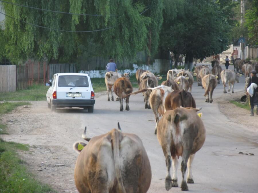 imagenes de rumania rural