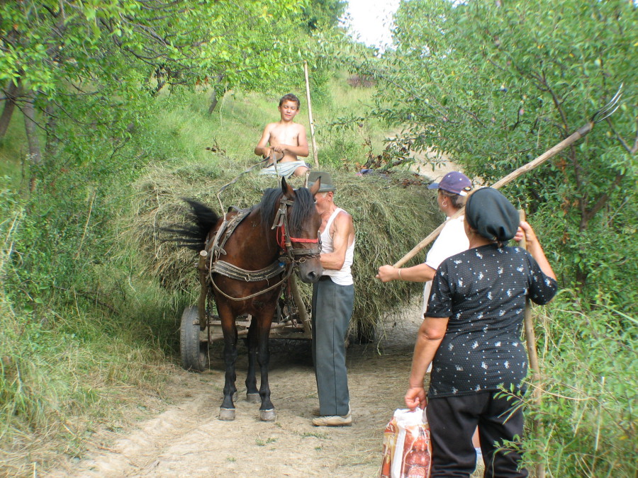 vacaciones rurales rumania